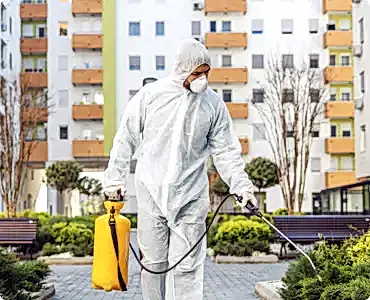 İlaçlama ve Kontrol