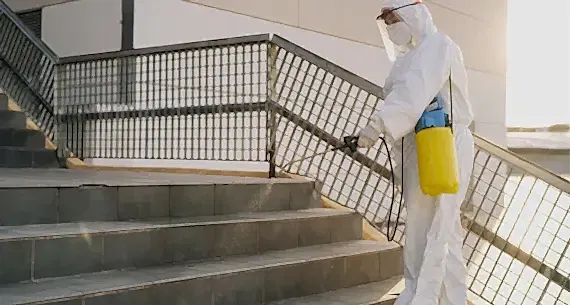 İlaçlama ve Kontrol